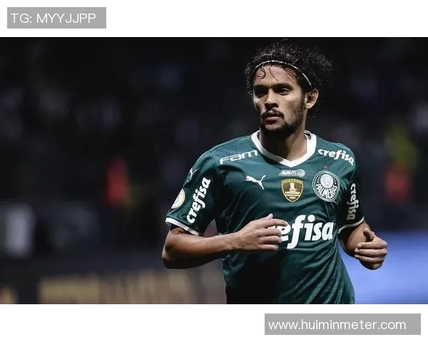 博塔弗戈与巴球队对决精彩瞬间回顾与赛后分析