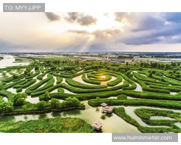 伐木者与盐城湖的对抗:生态保护与资源开发的博弈与思考 伐木者与盐城湖的对抗:生态保护与资源开发的博弈与思考