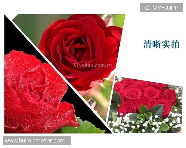 火花与太阳七月的激情碰撞揭示青春的无限可能与梦想的追逐